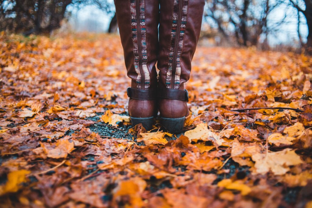 femmeguru womens fall boots 2