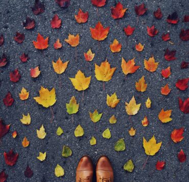 femmeguru perfect fall day