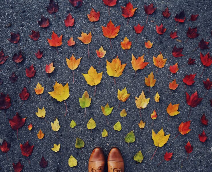 femmeguru perfect fall day